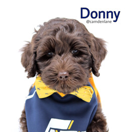 Donny
