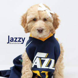 Jazzy