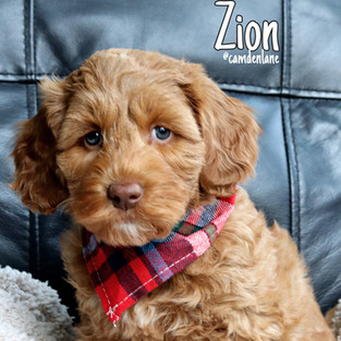 Zion