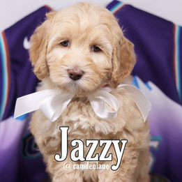 Jazzy