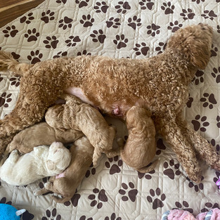 Mama time