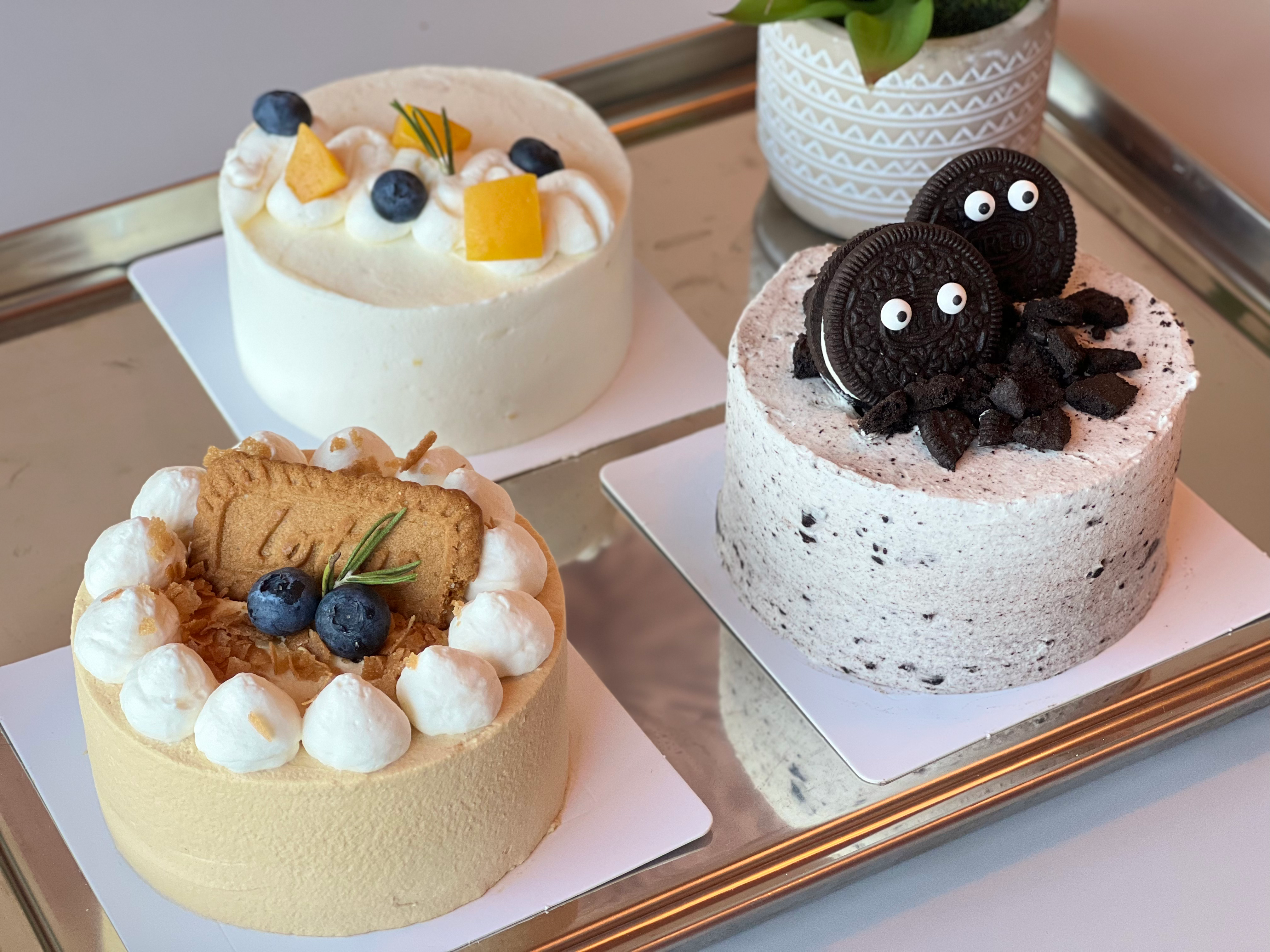 Arranged Food and Objects