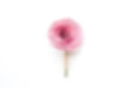 book rose boutonniere for book themed wedding in pink with jute twine wrapped stems