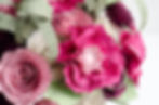 Thumbnail: details of book page poppy in hot pink