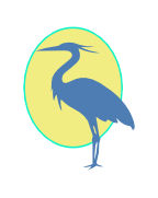 ColorTC logo.jpg