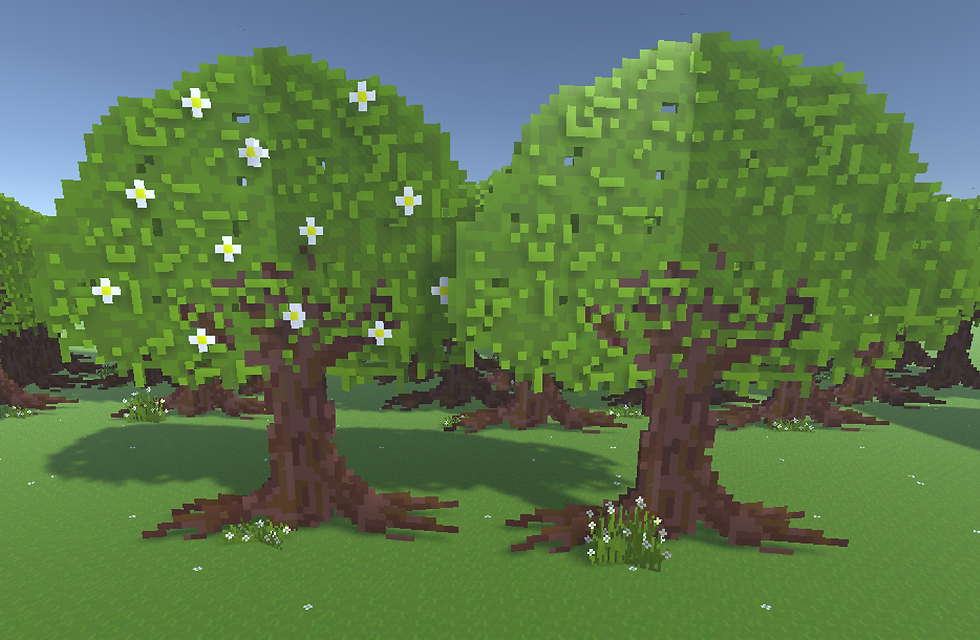 environment