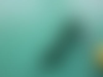 Kreativität & Kundenzufriedenheit – warum Malerarbeiten mehr sind als nur Farbe an der Wand