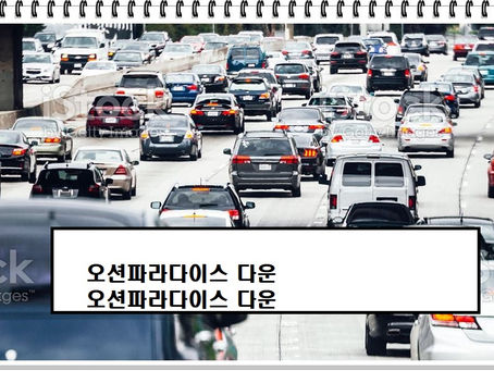 오션파라다이스 다운