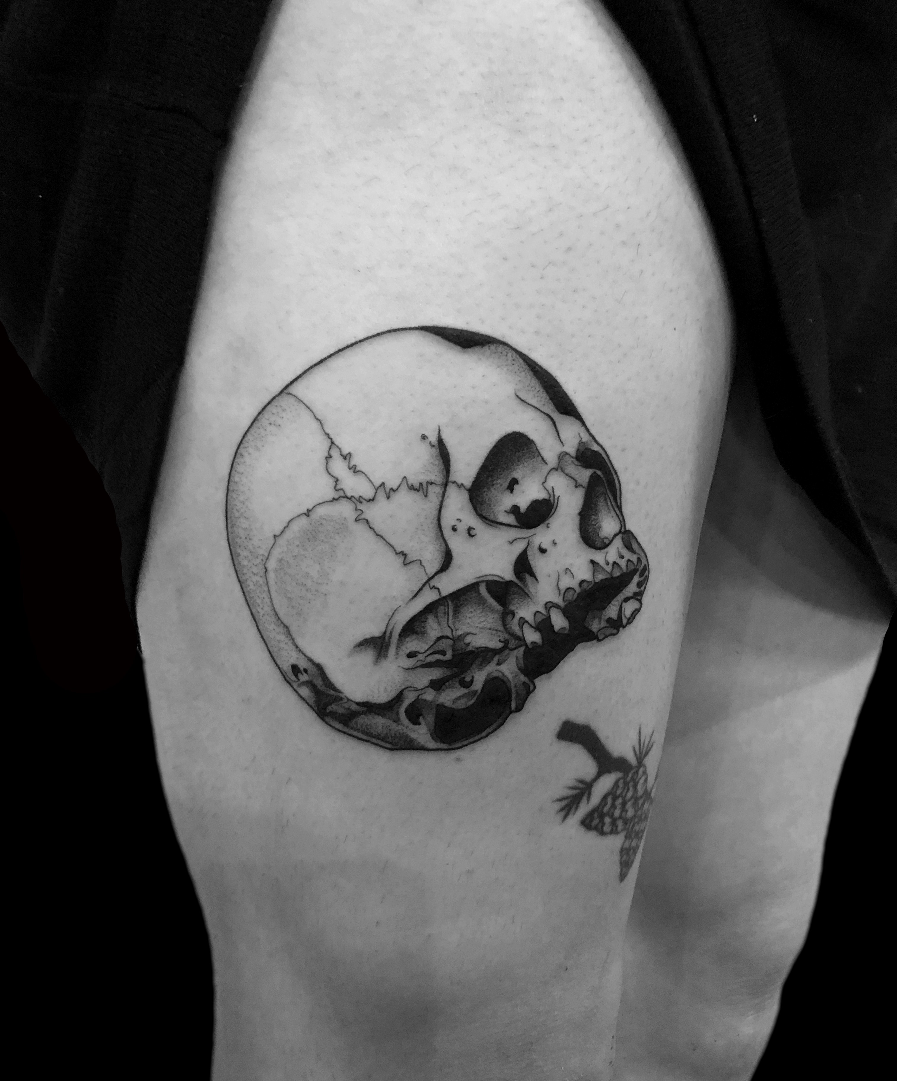 440+ Free Temporary Tattoo Jordan Idea Tattoo 440+ Free Temporary Tattoo Jordan Idea Tattoo