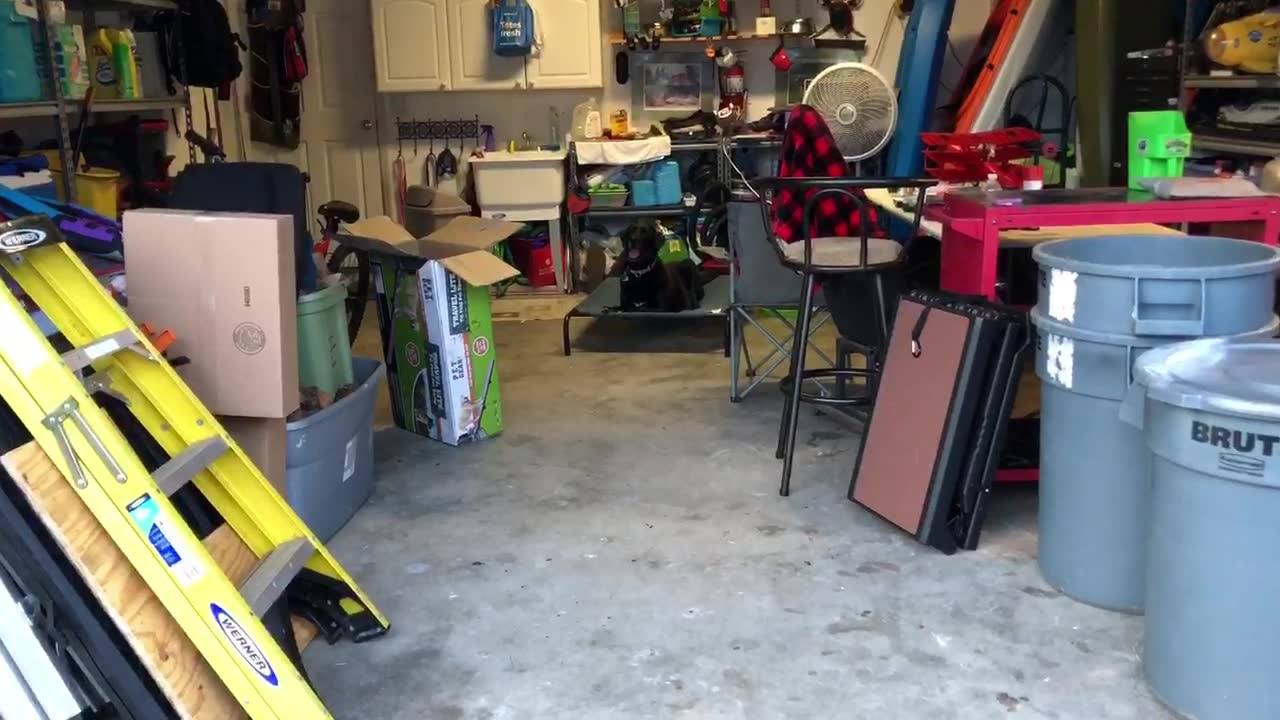 Some people ask me what would be a real life application of the “place” command. Here Dakota is hanging out with me outside without me having to worry about her running after dogs or people while I clean the garage.