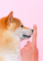 ree
