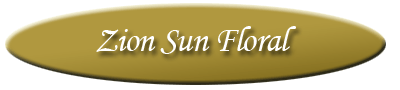 zion sun foral logo.gif
