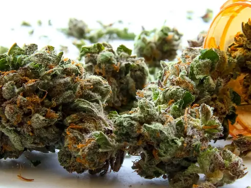 medicinal grade cannabis is being emptied onto a white background from a standard amber pill container