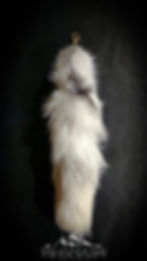 Thumbnail: Tail | Arctic Fox