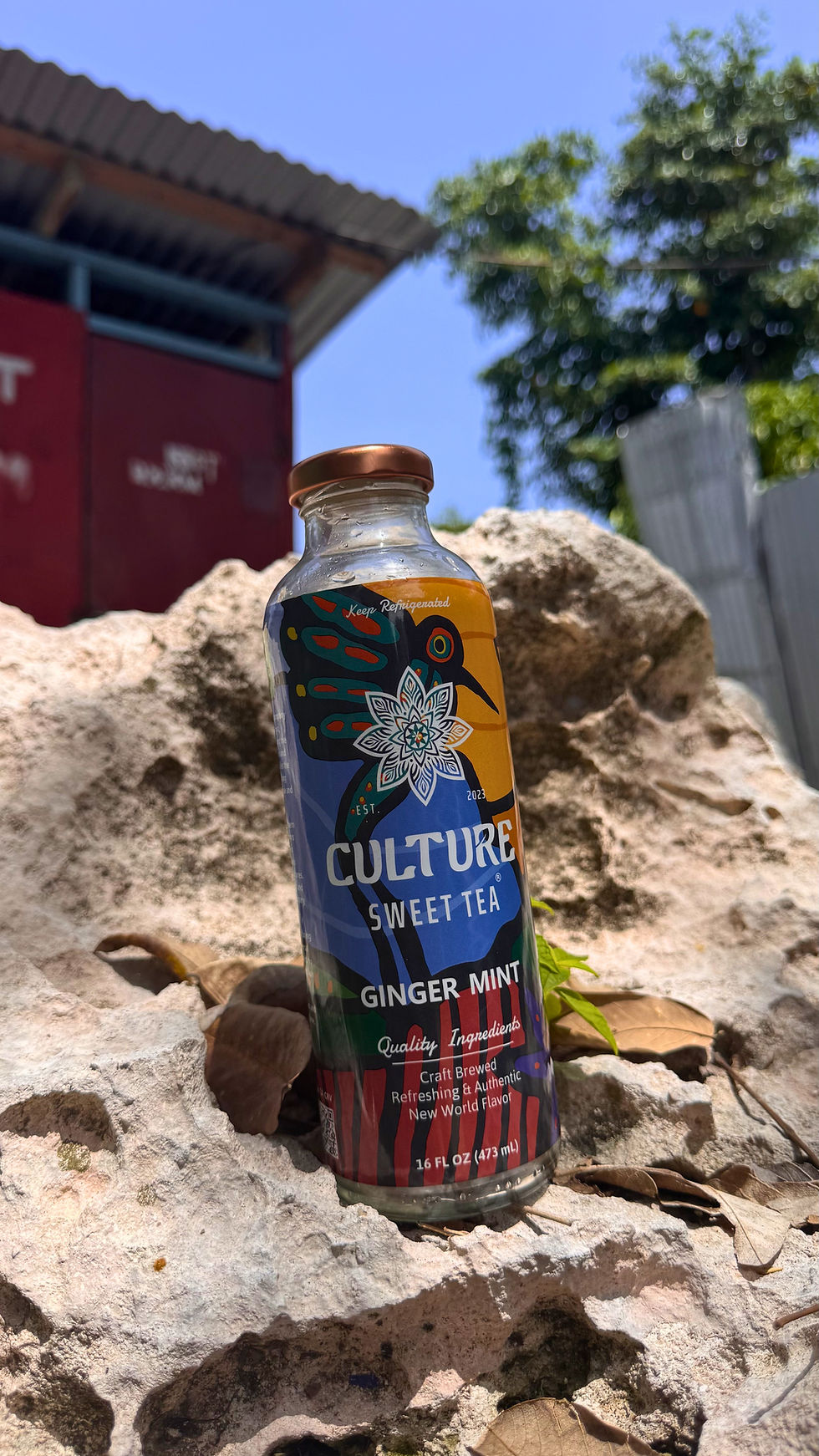 Thumbnail: Ginger Mint Tea (6-Pack)