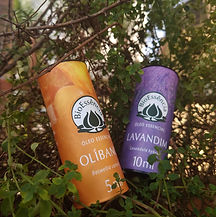 Produtos KASHAI - Óleos Essenciais