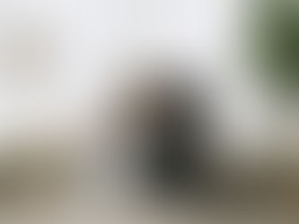 Why Does My Cat Headbutt Me? The Sweet Science Explained