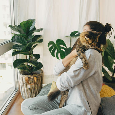 How Cats Show Affection: 8 Cat Love Signals