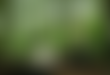 The Fever of Faith: A Review of The Devil All The Time (2020)Dir. Antonio Campos 