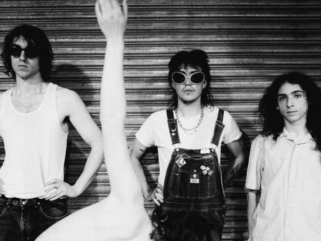 Geese Getting Killed World Tour 2026