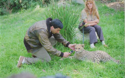 Elliott & Cheetah