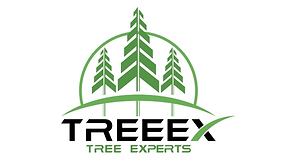 Trre expert.png