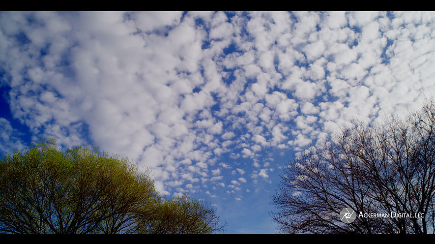 Clouds Neighborhood .jpg