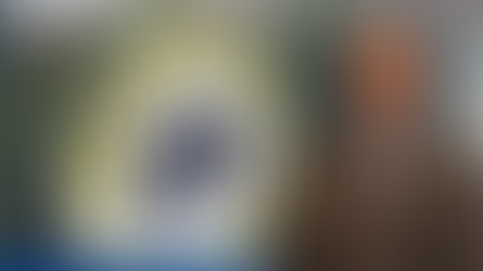 Controllo di vicinato, Marino (SIULP): “una scorciatoia che nasconde il vuoto della sicurezza reale a Trieste