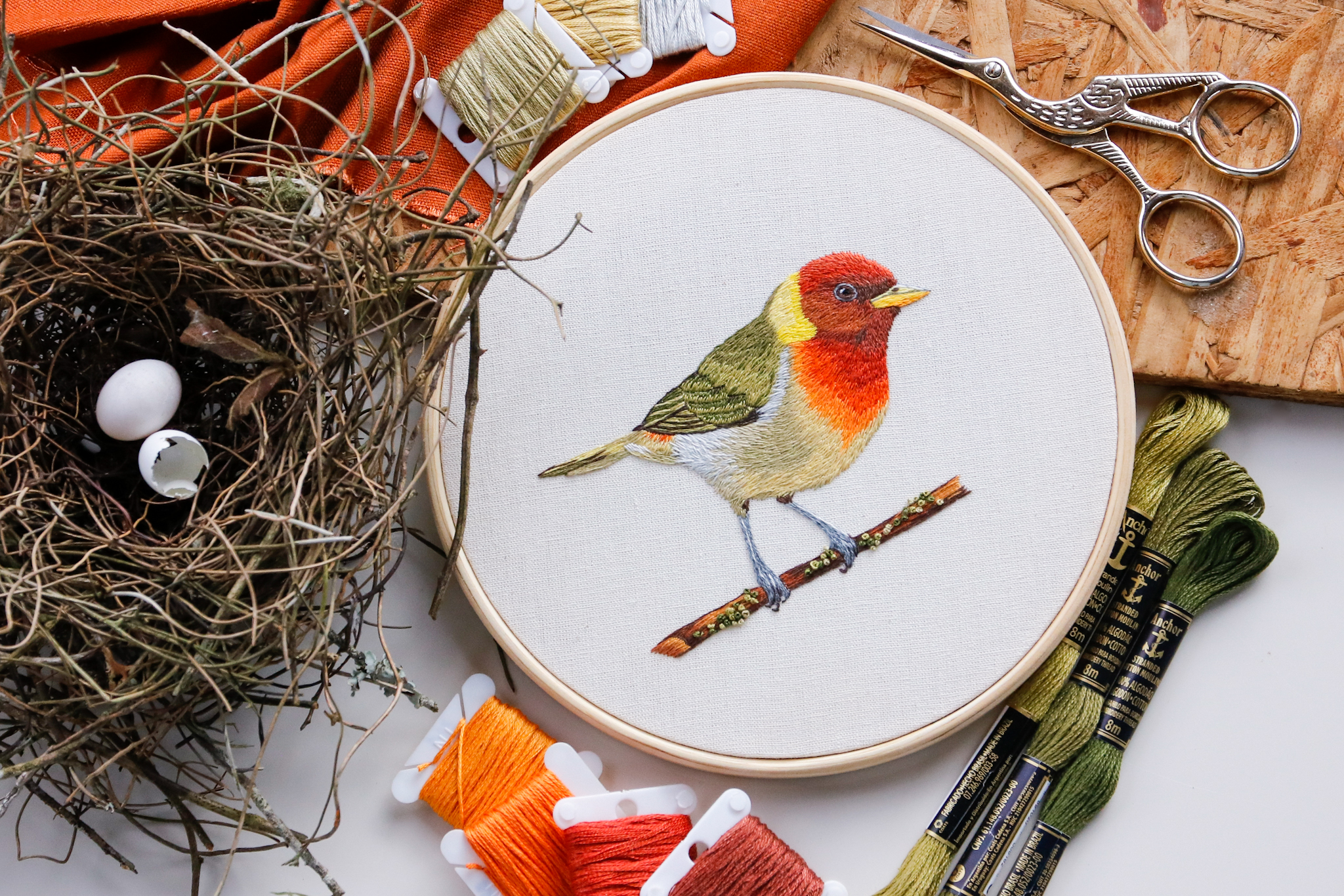 Pintura de pássaro bordada em bastidor, com nesto e linhas. Ayeska.