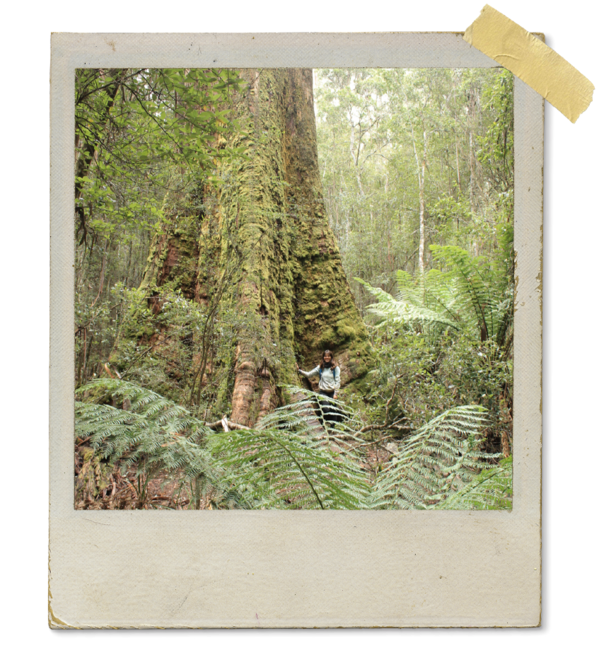 Foto da Ayeska em 2015 na tasmânia, austrália, durante doutorado