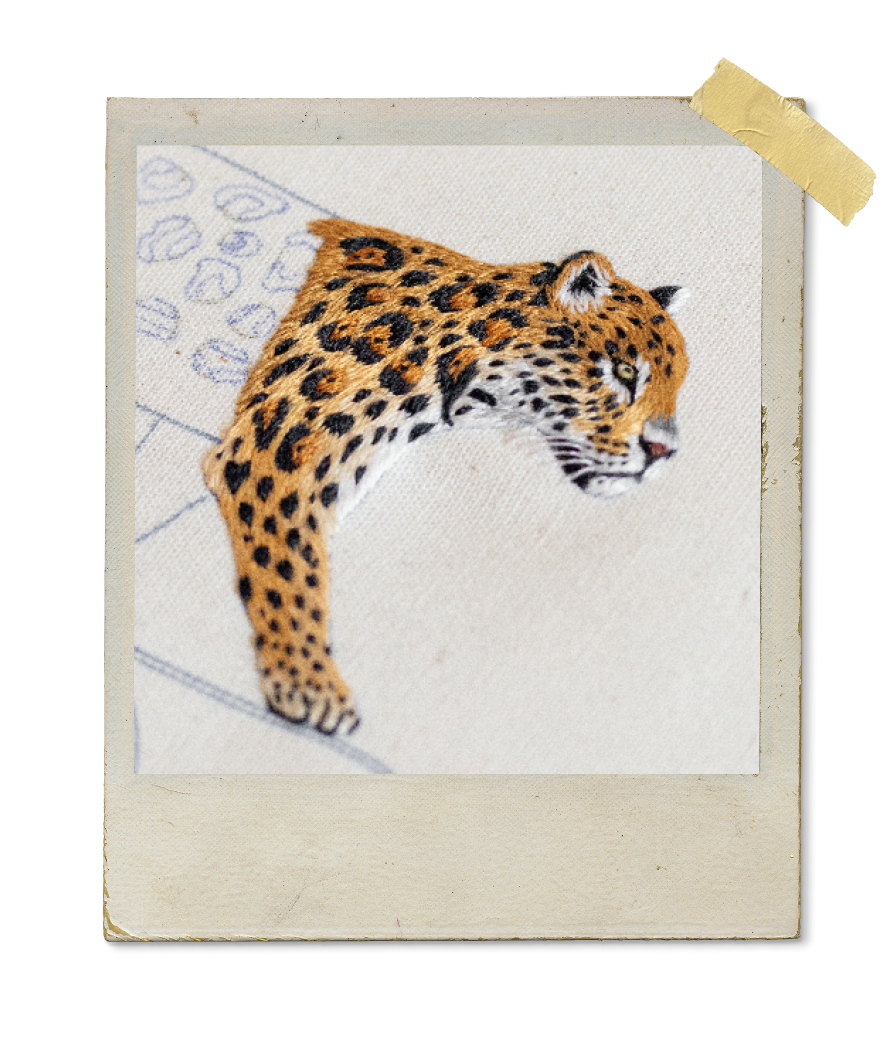 Ilustra ção de jaguar em um desenho Sobre um fundo de papel envelhecido.