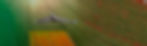 bg15.jpg