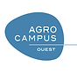 logo (1).png