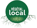 VEGETAL_Local.jpg