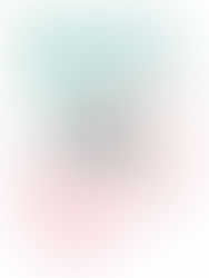 Como cuidar dos livros: evitar poeira e outras dicas