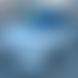 オデッセイピュアゴーストML91‼️