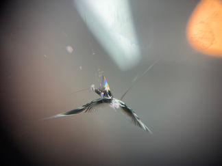 パーシャルブレイク+α(危険度レベル4)