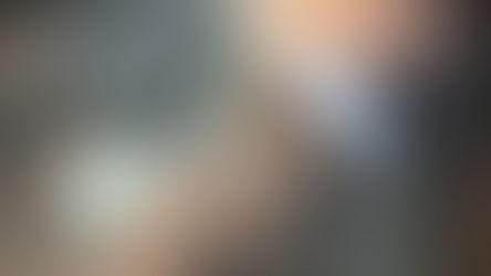 その飛び石によるヒビ割れ、無かった事に!ホンダヴェゼル