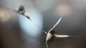 難易度高めの飛び石修理(二重衝撃)