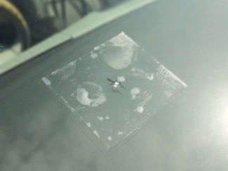 エスティマ-フロントガラス修理-スターブレイク