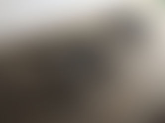 時にはこのようなご依頼も。