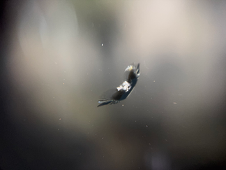 パーシャルブレイク(危険度レベル2)