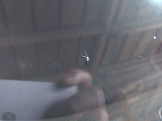 秋田県南《出張》自動車ガラス修理(ウインドリペア)