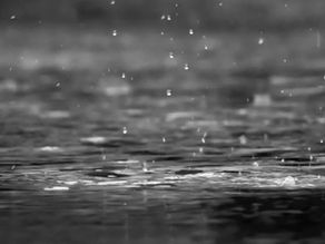 I Am Coming to Avenge the Meek