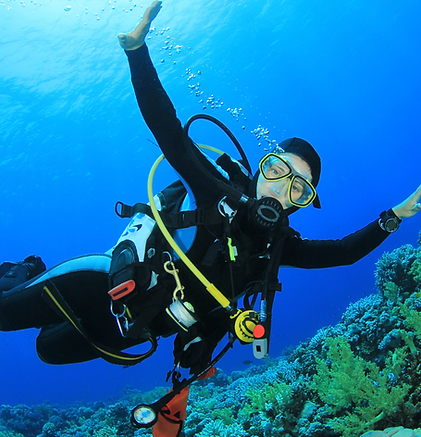 gecko bleu-baptême de plongée-saint-gilles-974.png