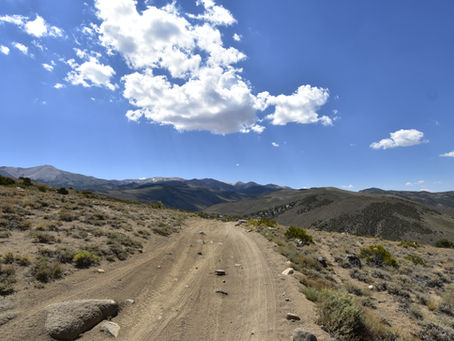 Mt Patterson Overnight Club Run July 17-19 2020