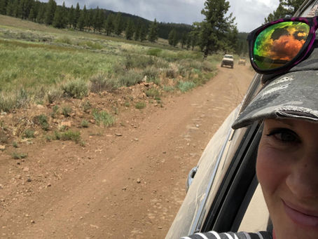 Peavine-to-Verdi Club Run