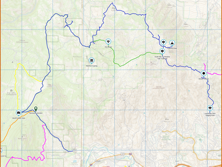 June Cruisers & Coffee and a trip to Peavine Peak