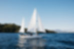 Electric-powered sailing yacht on Lake Taupō with guests onboard, cruising past lush green hills under clear skies near Taupō, New Zealand.