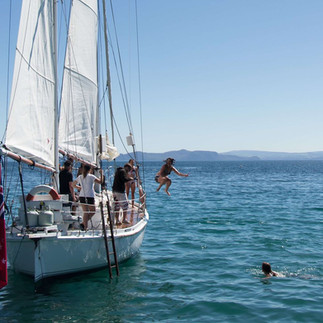 Guests swimming off the side of the boat with a step ladder visible, showing access to the lake.